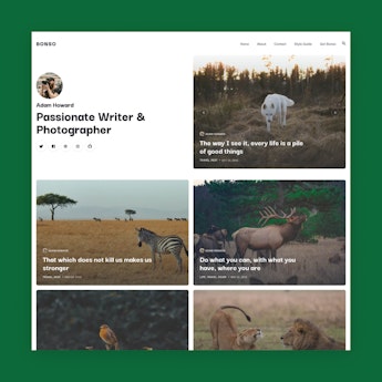 Bonso: a modern blog theme