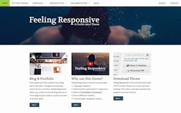 Feeling Responsive